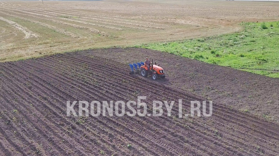 Чеснокосажалка Крючков ЧС-4-3